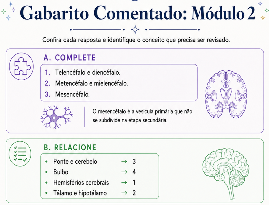 Prévia do módulo 02: Desenvolvimento e Organização do Encéfalo